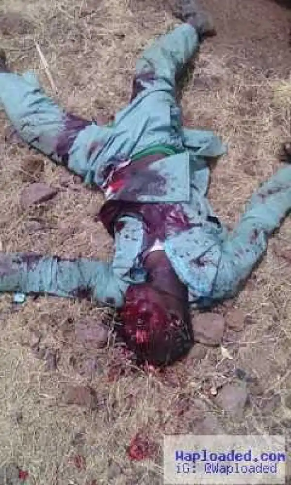 Tragedy!! Man allegedly shot dead by customs officers while smuggling in bags of rice [Graphic Photos]